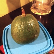 Brazilian avocado